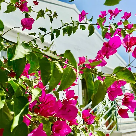 Elea Boutique With Private Pool By Dadovillas *